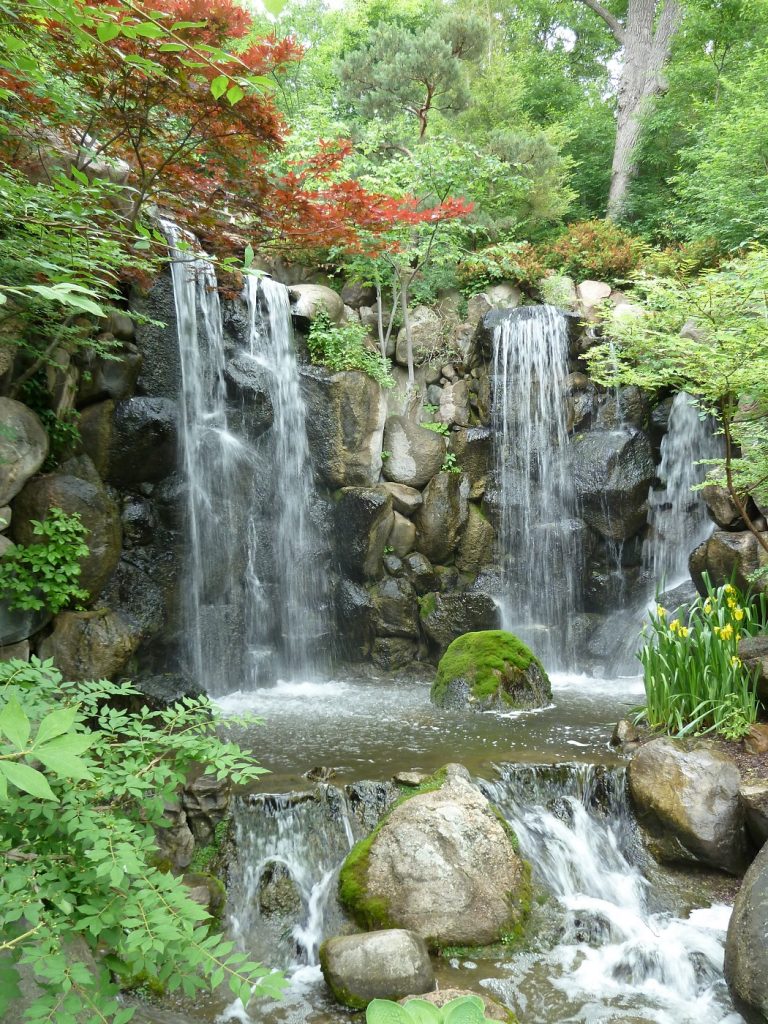 Trip To Anderson Japanese Gardens Aqualogical Resources
