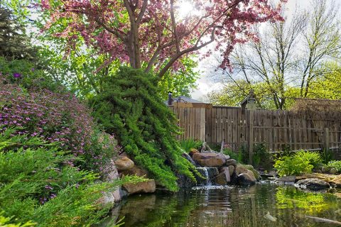 Transform your yard or business landscape with a pond garden from Aqualogical Resources in Mankato Minnesota and Southern Minnesota.