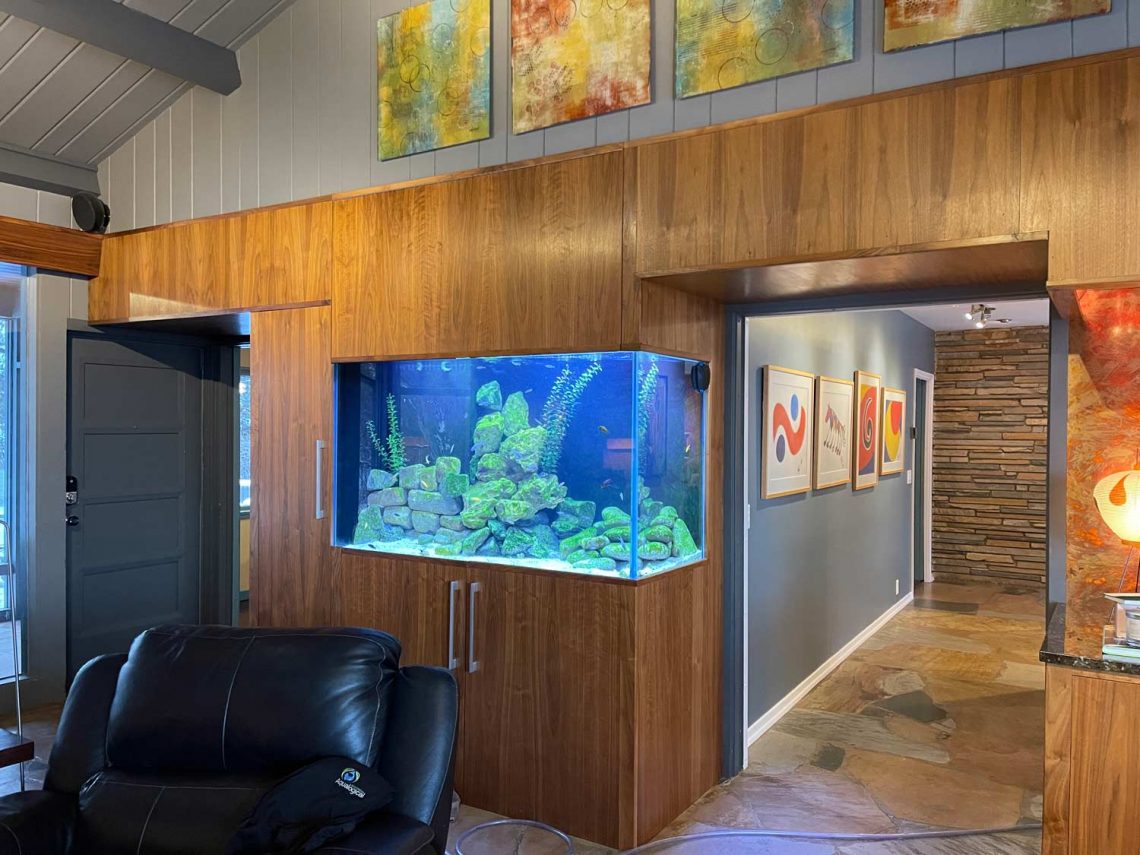 Golden Valley Minnesota custom home office Lake Tanganyika Biotope Aquarium