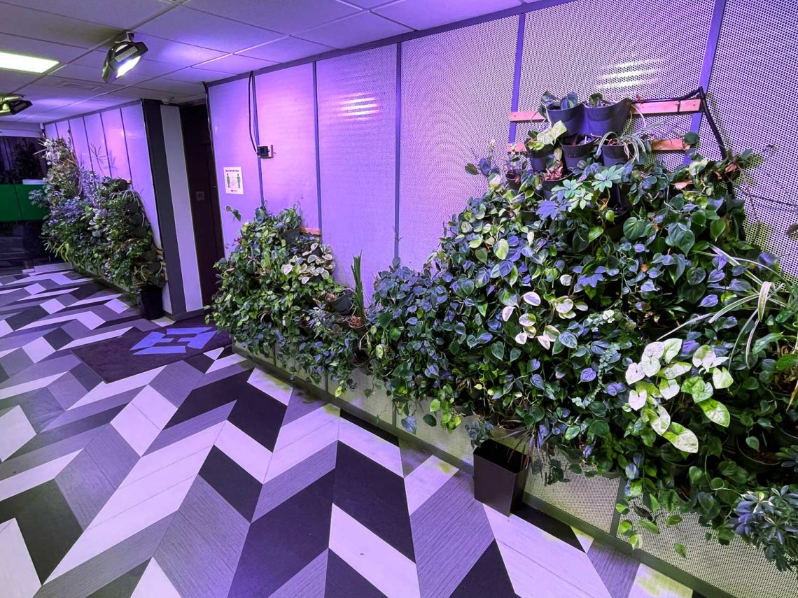 Aqualogical Resources Live wall design and setup in the Hubbard Building in Mankato Minnesota.